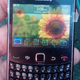 Illustration for article titled Leaked Photos of BlackBerry Curve 9300 Surface